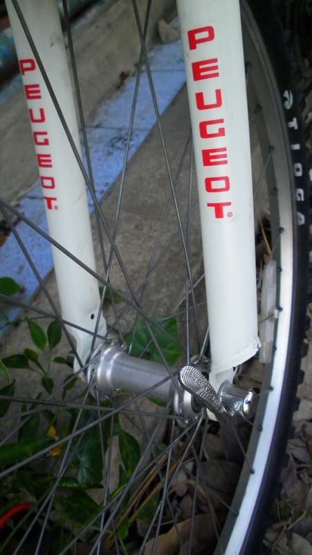 SANY0183.JPG