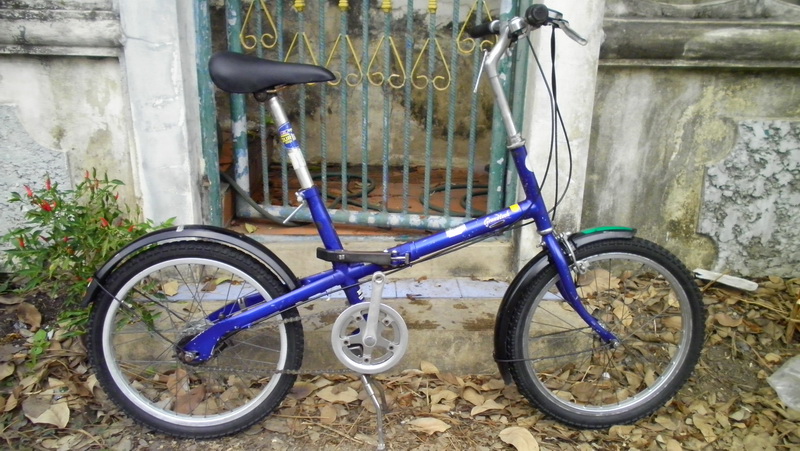 SANY0153.JPG