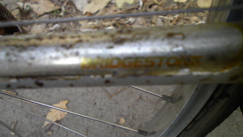 SANY0161.JPG
