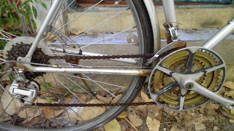 SANY0156.JPG