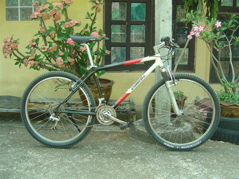 DSC03787 (Medium).JPG