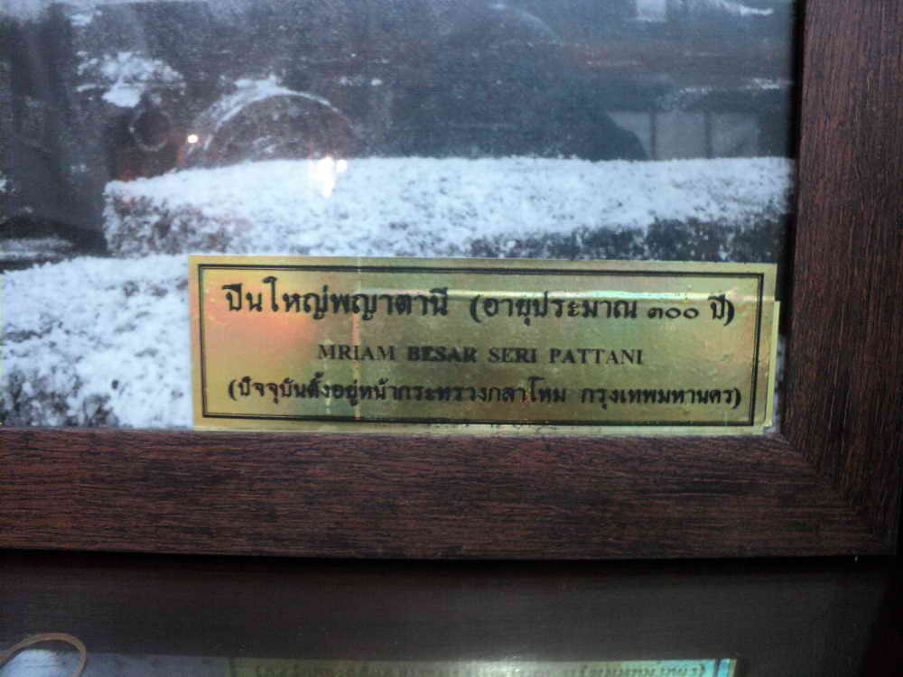 DSC01131_resize.jpg