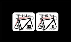sp size copy.jpg