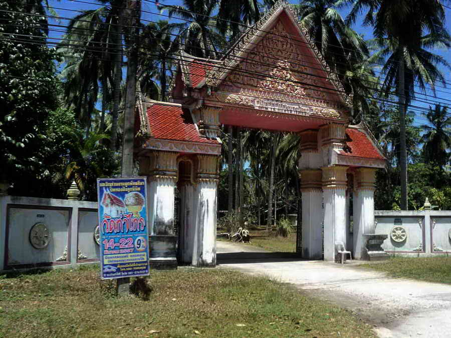 DSC01289_resize.jpg