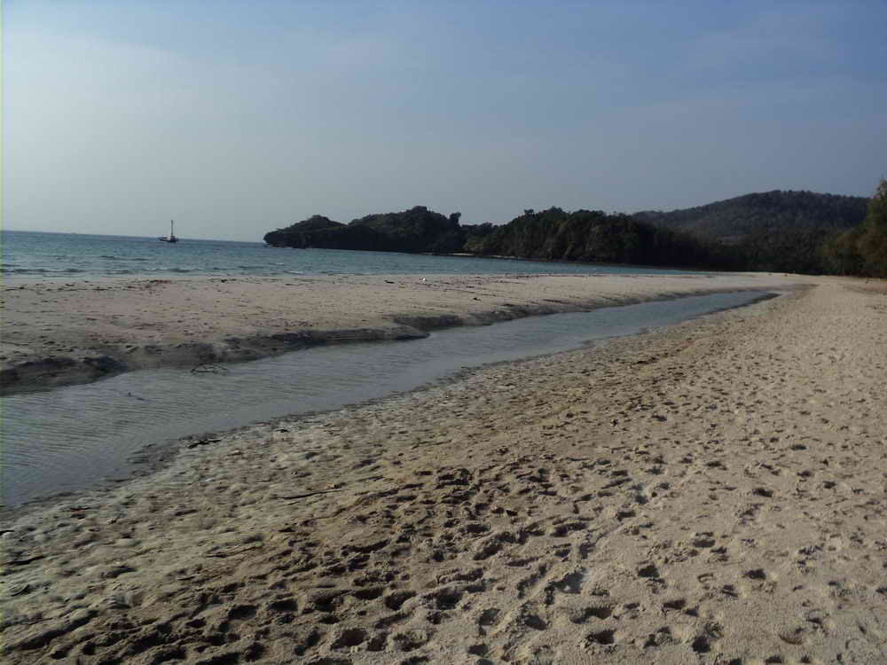 DSC01435_resize.JPG