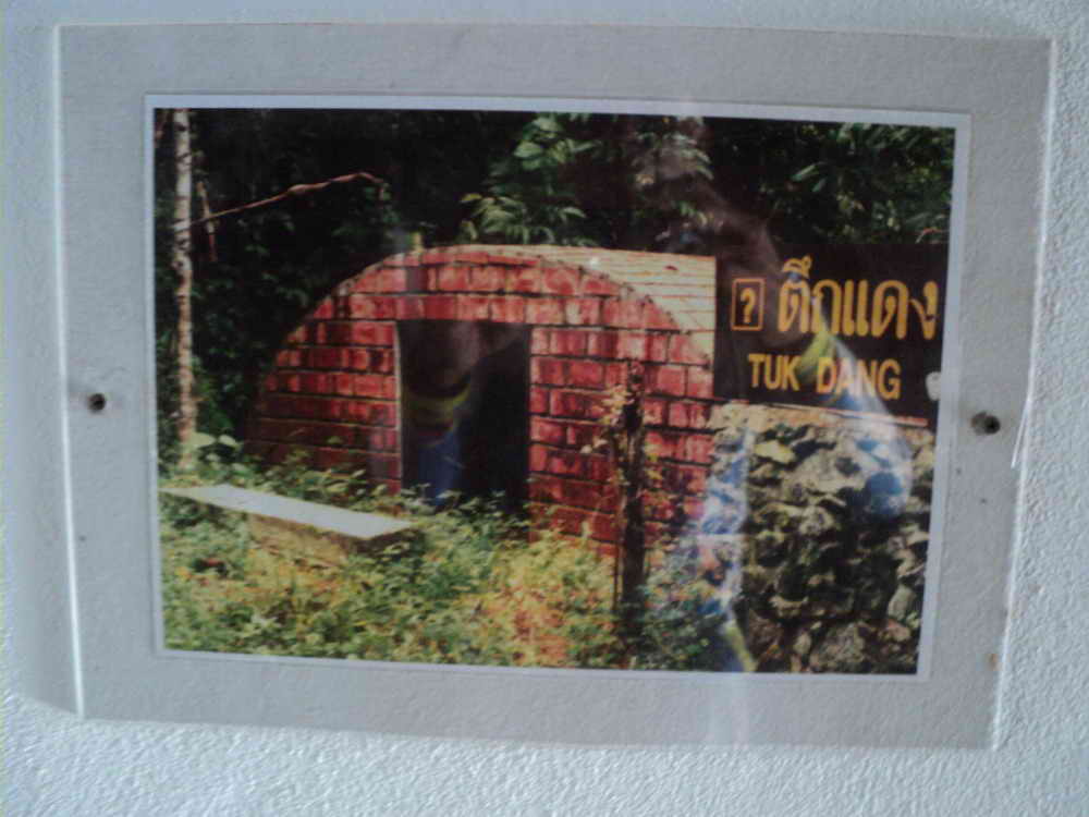 DSC01447_resize.JPG