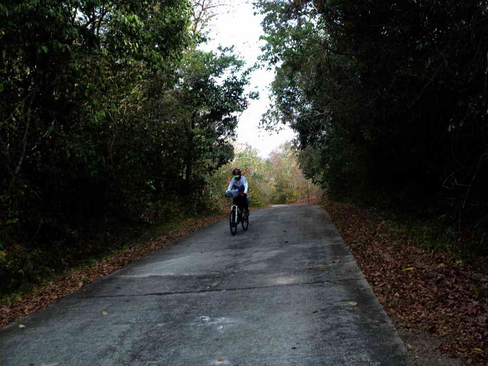 DSC01485_resize.JPG