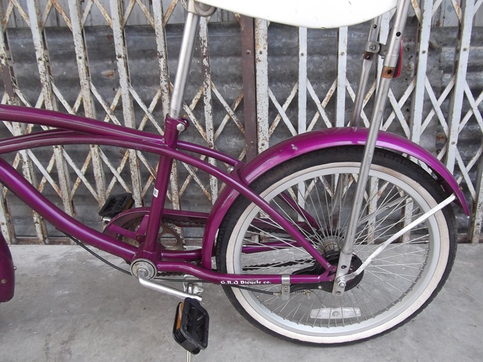 DSCF0380.JPG