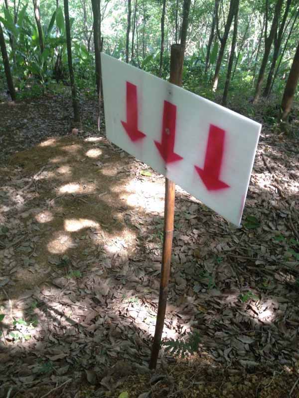 556.jpg
