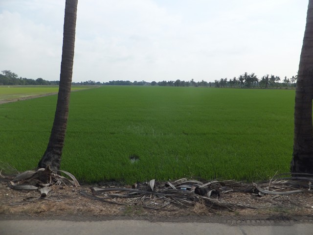DSCF4382 (Copy).JPG