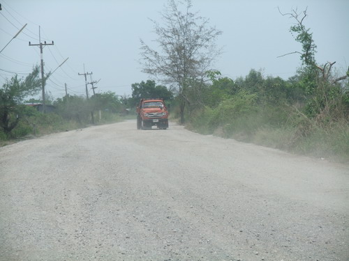768.jpg