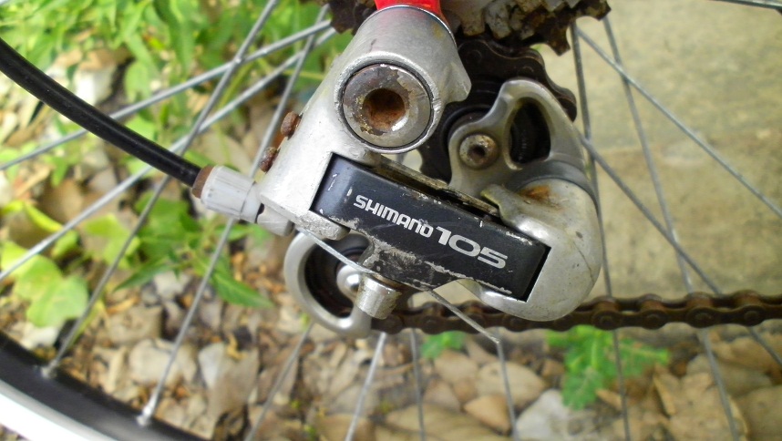 SANY0226.JPG