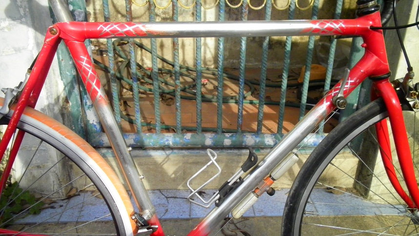 SANY0224.JPG