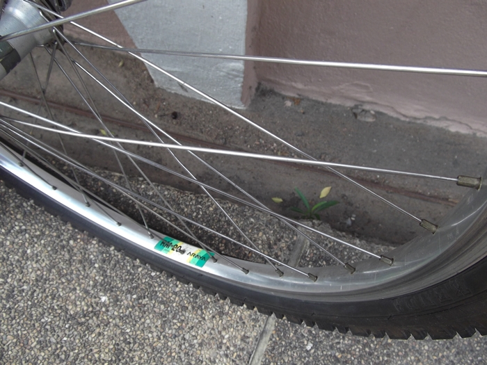 DSCF9252.JPG