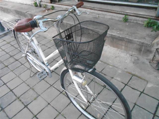 DSCN7671 (Small).jpg