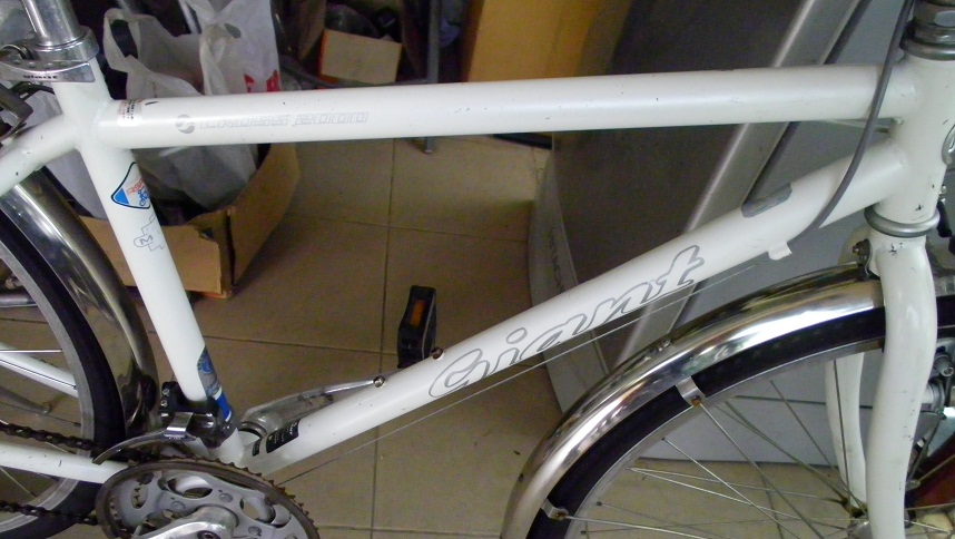SANY0286.JPG