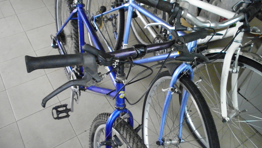 SANY0281.JPG