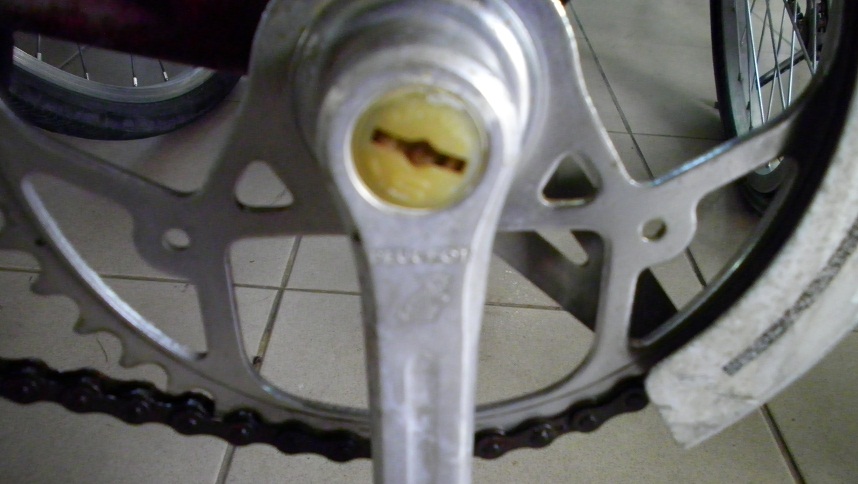SANY0257.JPG