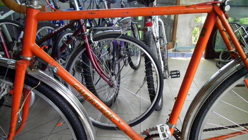 SANY0251.JPG