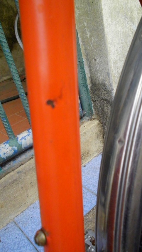 SANY0255.JPG