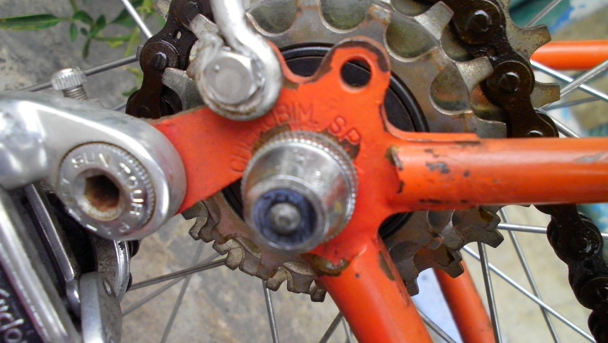 SANY0239.JPG