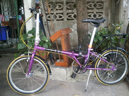 BWม่วง.jpg