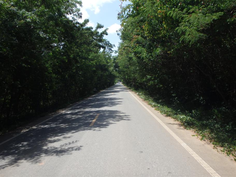 P6281422 (Custom).JPG