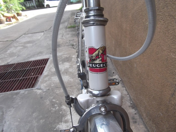 DSCF1326.JPG