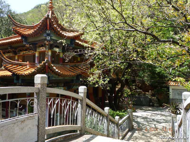 yuanyang0516.jpg