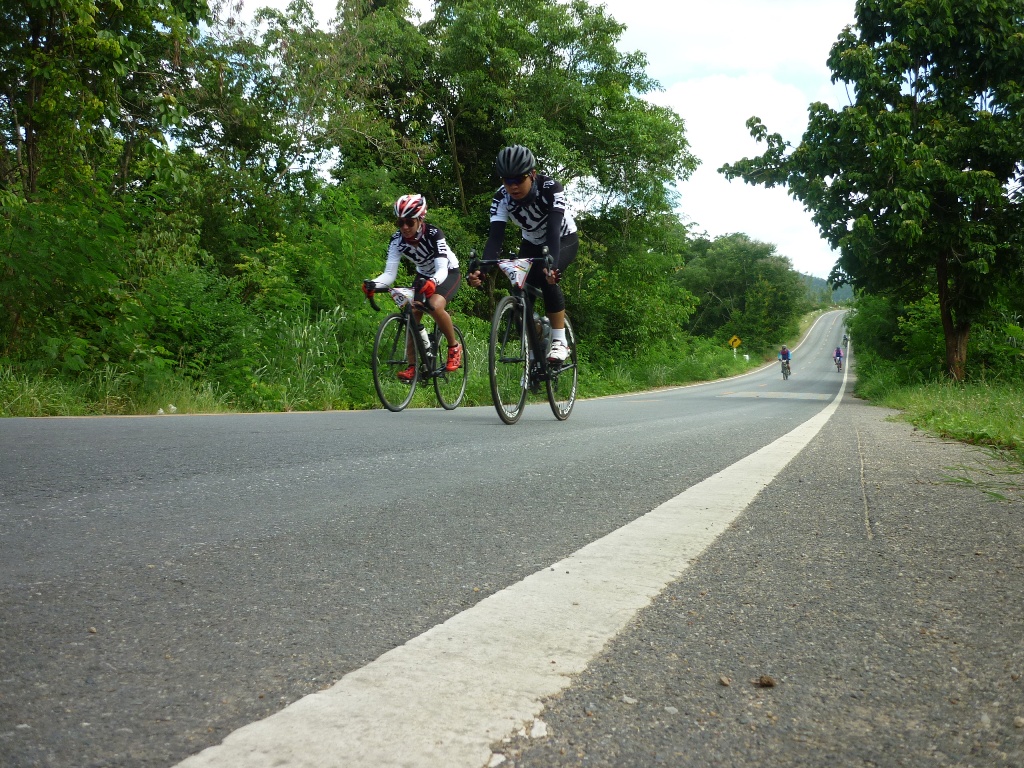 P6.JPG