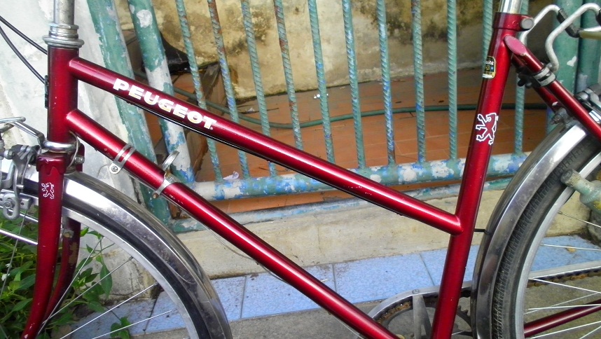SANY0255.JPG