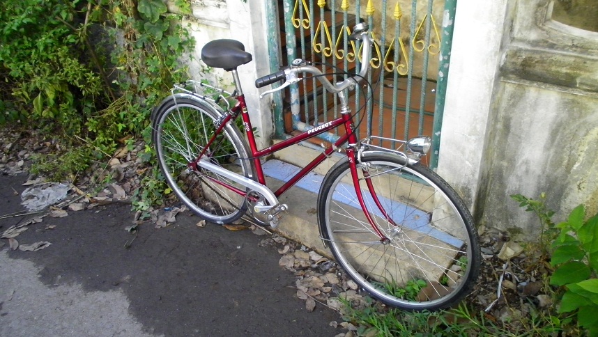 SANY0252.JPG