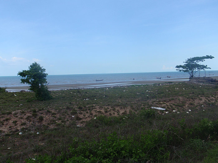 P4161292.jpg