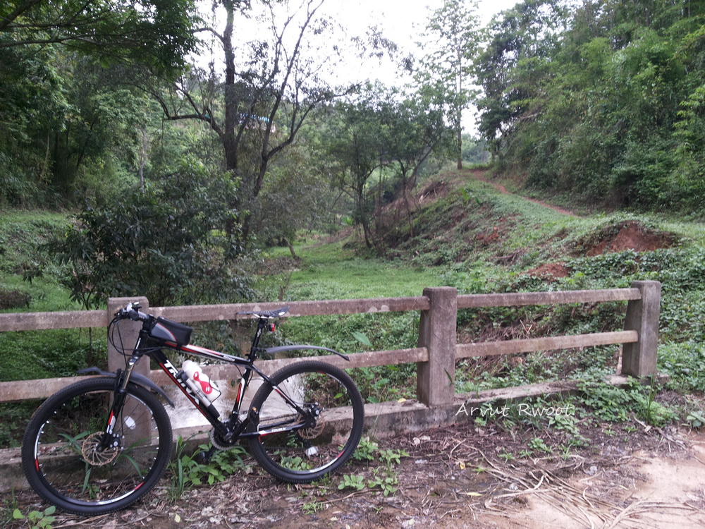 20140615_152929.jpg