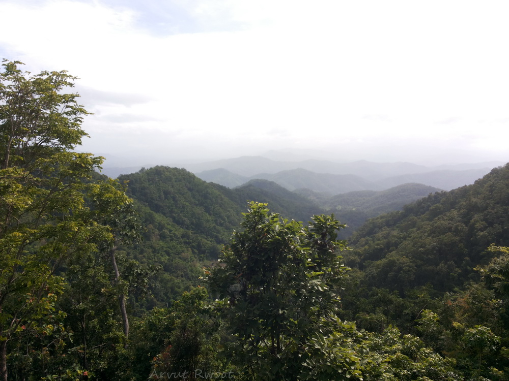 20140620_154328.jpg