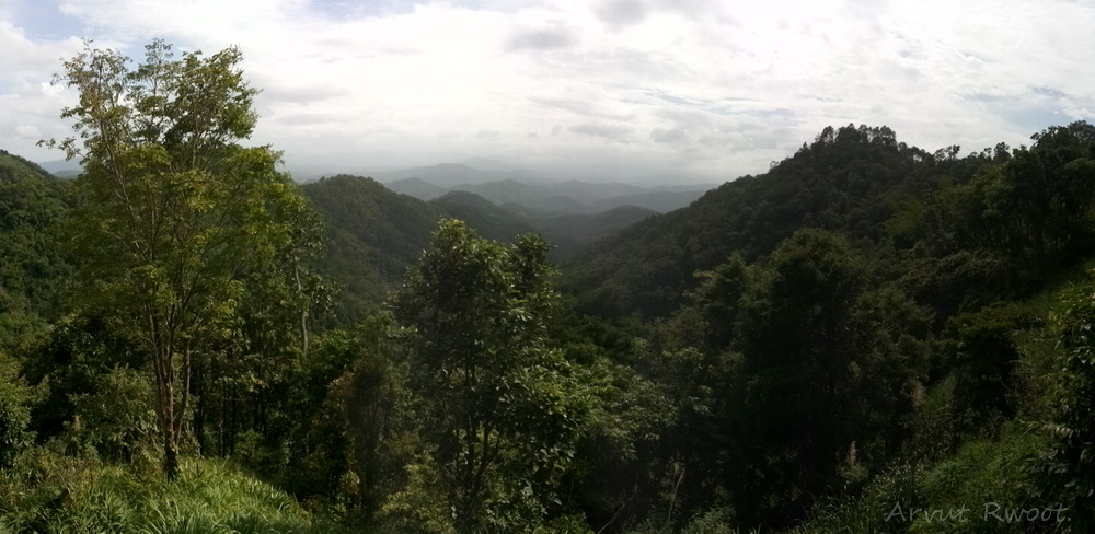 20140620_154404.jpg