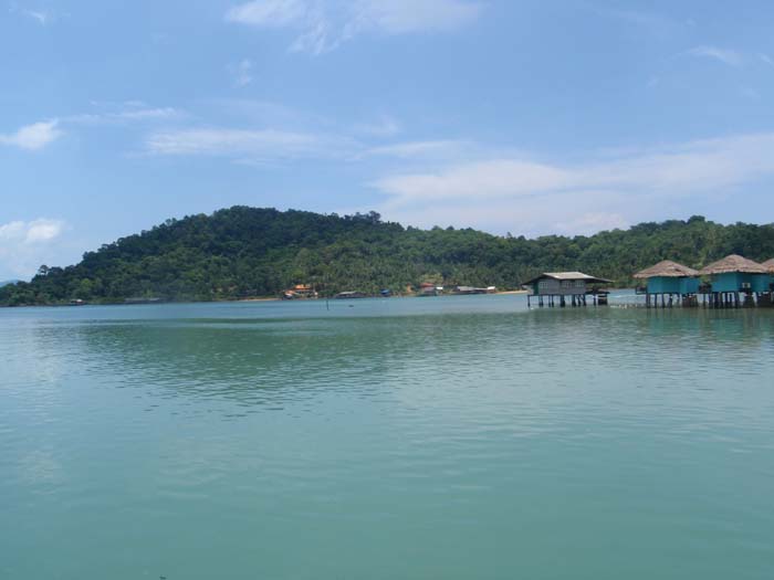 P5020412.jpg
