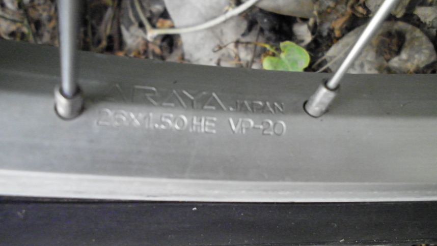 SANY0247.JPG