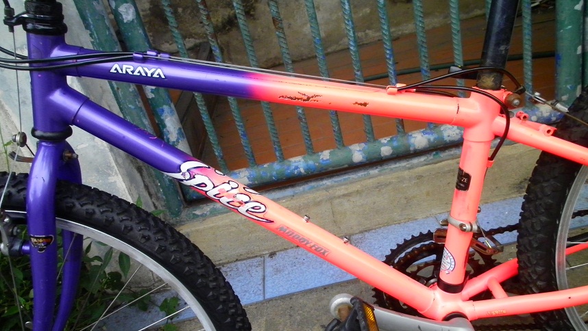 SANY0262.JPG