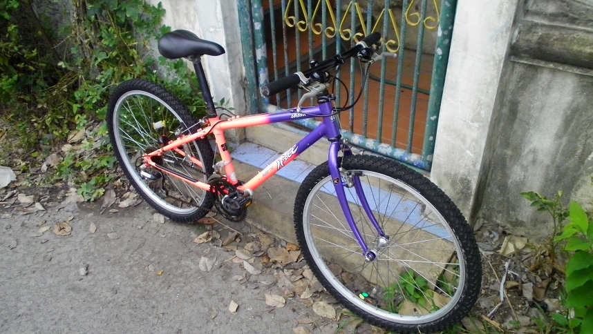 SANY0259.JPG