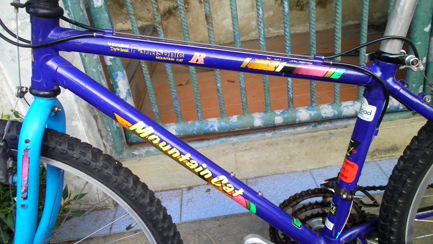 SANY0251.JPG