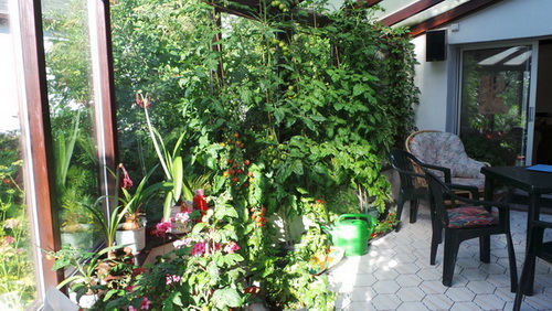 20140710_081243_resize.JPG