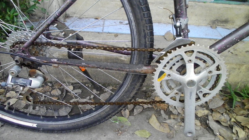 SANY0246.JPG