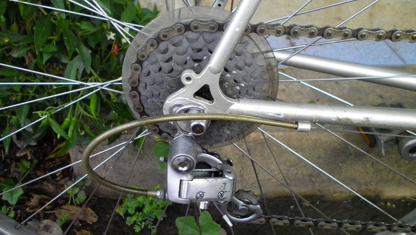 SANY0260.JPG
