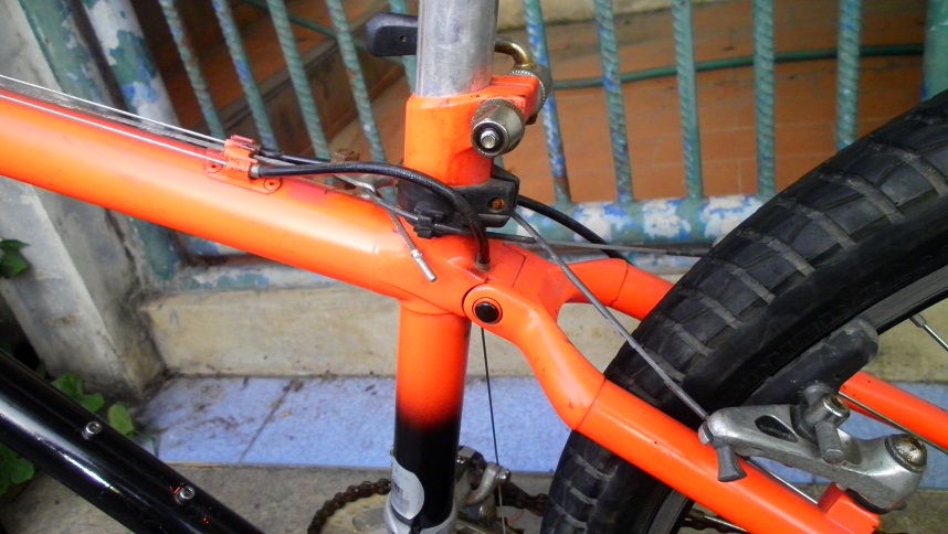SANY0273.JPG