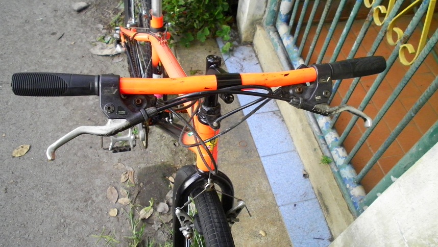 SANY0267.JPG