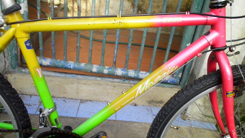 SANY0280.JPG