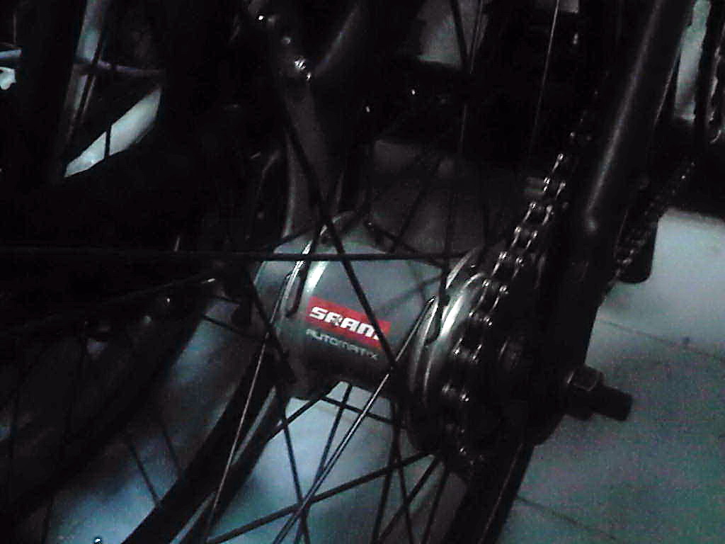 IMG05213-20140827-1500.jpg