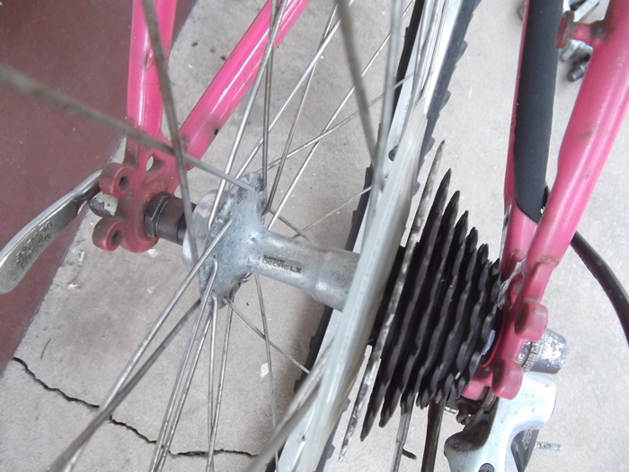 DSCF2159.JPG