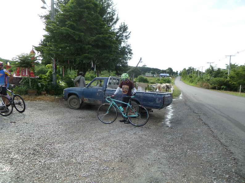 SAM_2010.JPG